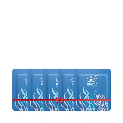 Godrej Aer Power Pocket Bathroom Fragrance Sea Breeze (Buy 4 Get 1 Free) (10 gm)