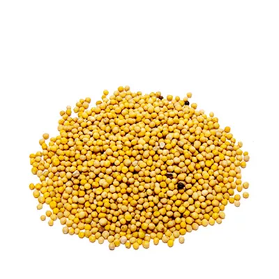 Mustard Seed (Yellow) (100 gm)