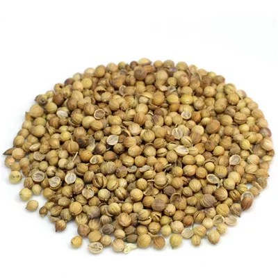 Coriander (Dhonia) (100 gm)